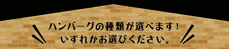 ハンバーグの種類